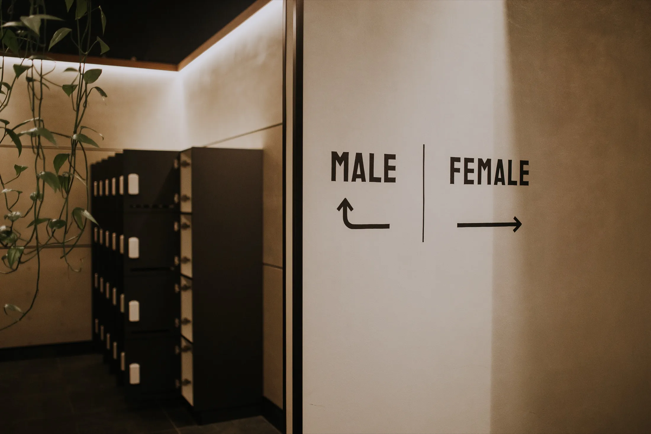 Locker bank beside the painted Male and Female wayfinding wall