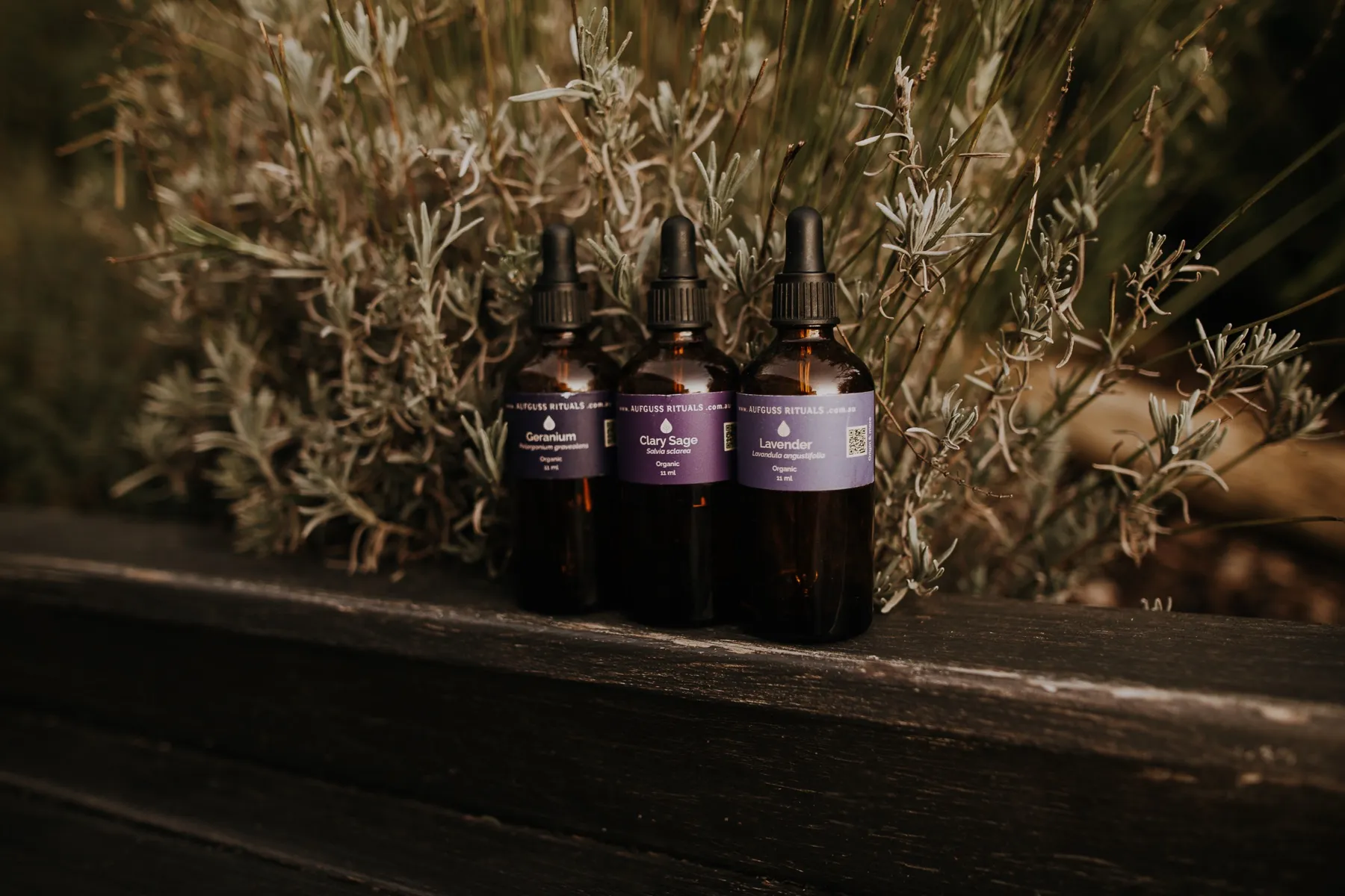 Essential oil bottles on a timber bench against a backdrop of lavender